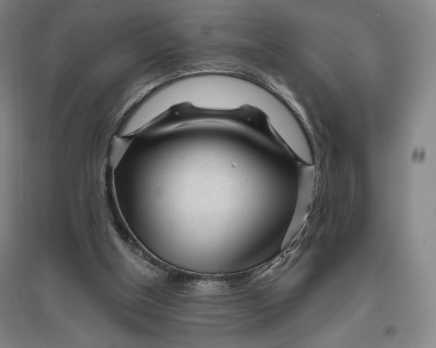 X0000096630154200802261213