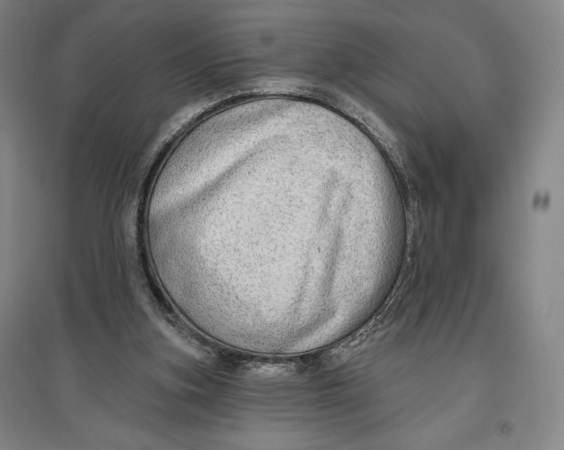 X0000096630155200802261213