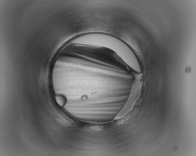X0000096630156200802261213