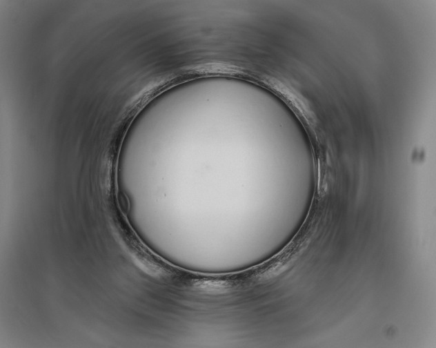 X0000096630157200802261213