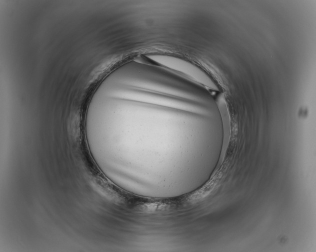 X0000096630158200802261213