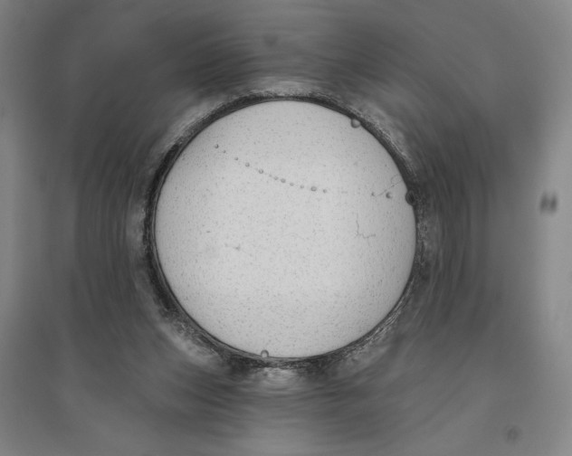 X0000096630159200802261213