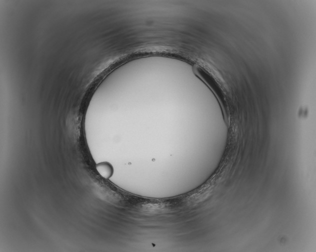 X0000096630160200802261213