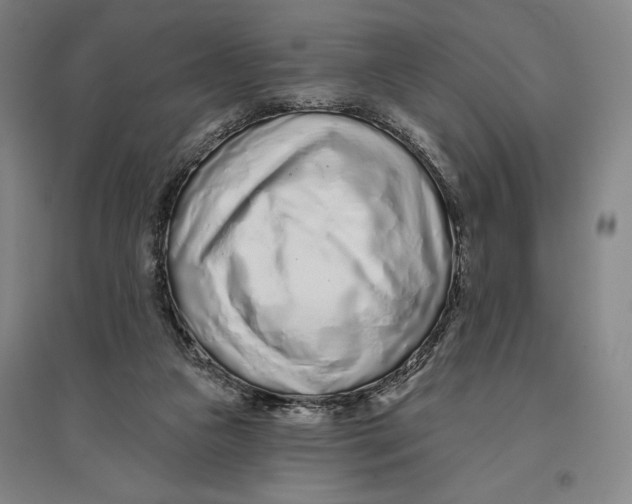 X0000096630161200802261213