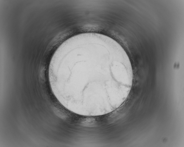 X0000096630162200802261213