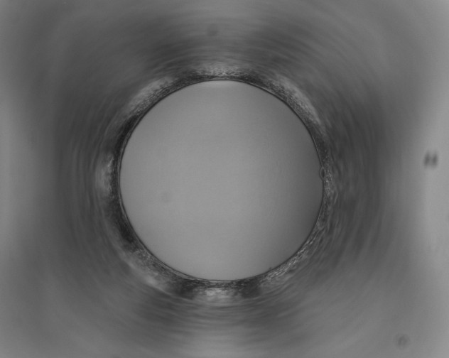 X0000096630163200802261213