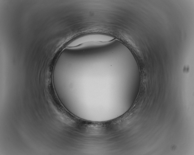 X0000096630164200802261213