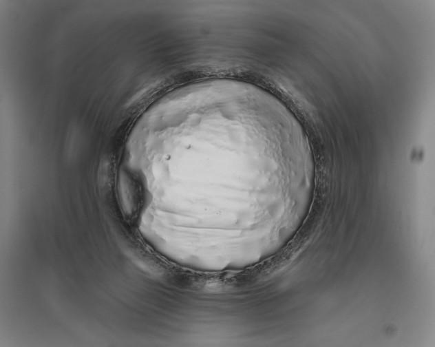 X0000096630165200802261213