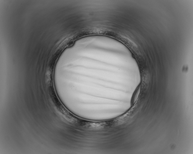 X0000096630166200802261213