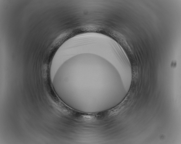 X0000096630167200802261213