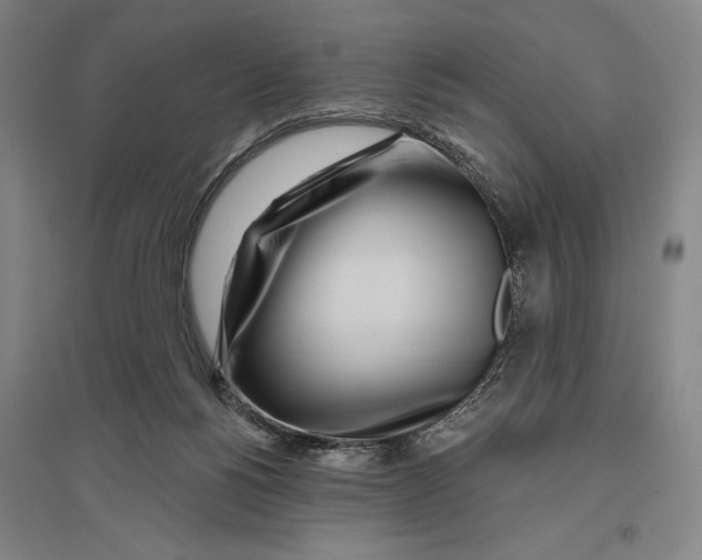 X0000096630168200802261213