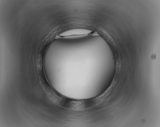 X0000096630170200802261213