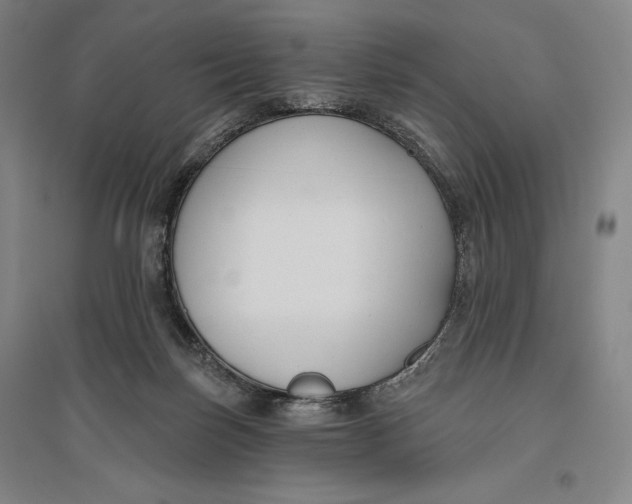 X0000096630171200802261213