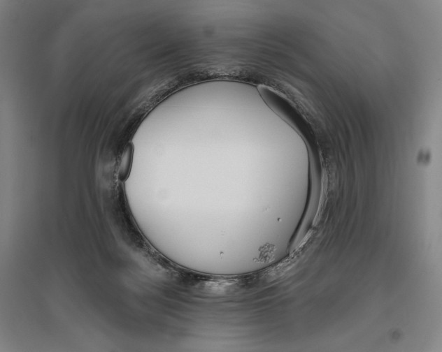 X0000096630172200802261213