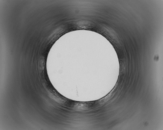 X0000096630174200802261213