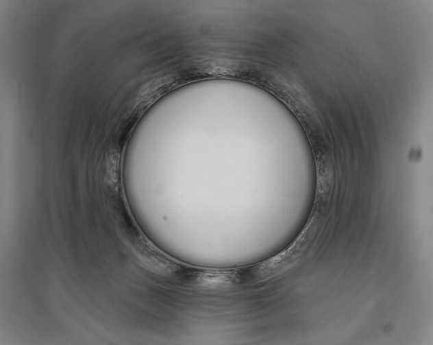 X0000096630175200802261213