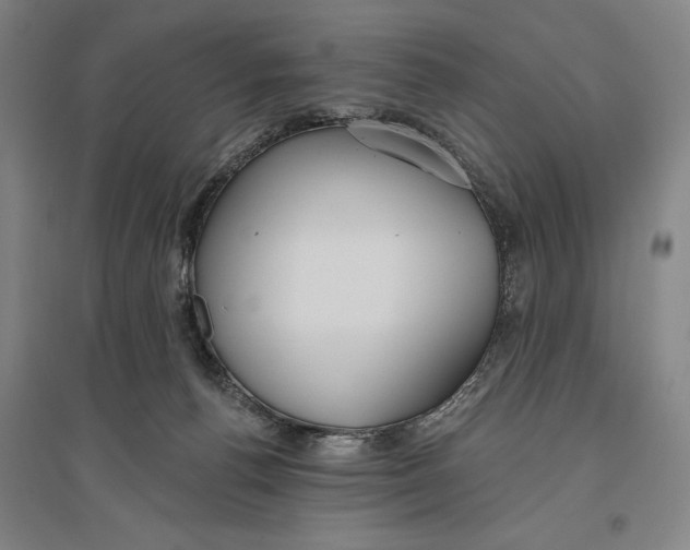X0000096630176200802261213