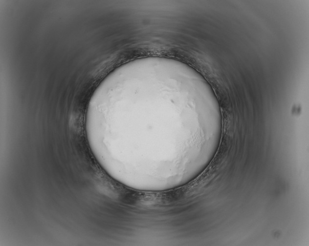 X0000096630177200802261213