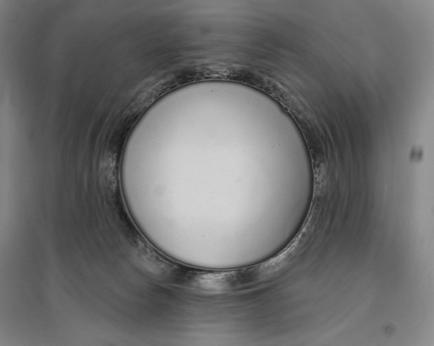 X0000096630178200802261213