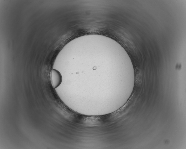 X0000096630179200802261213