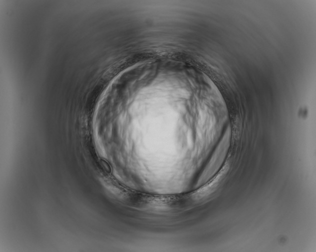 X0000096630182200802261213