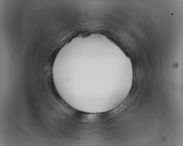 X0000096630184200802261213