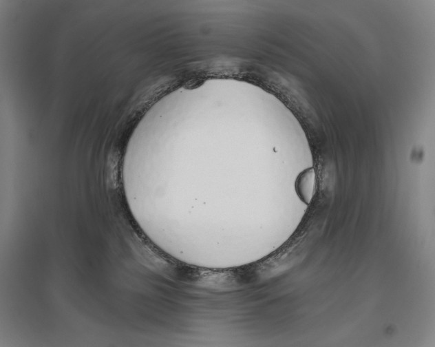 X0000096630185200802261213