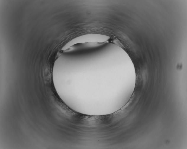 X0000096630186200802261213