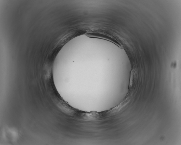 X0000096630188200802261213