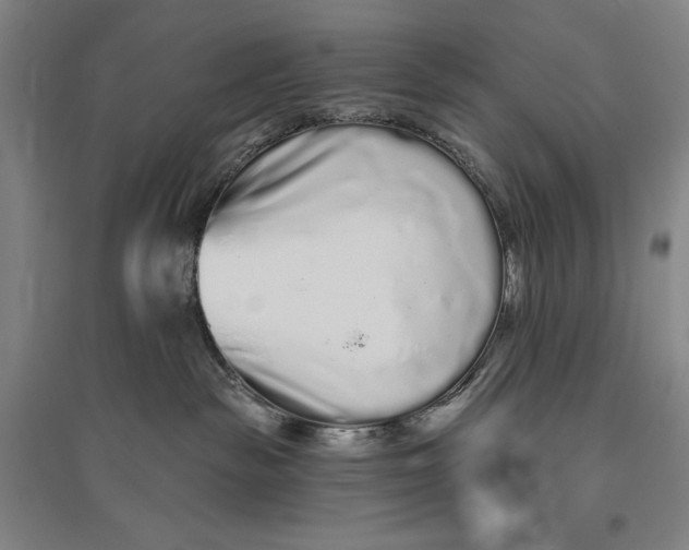 X0000096630189200802261213