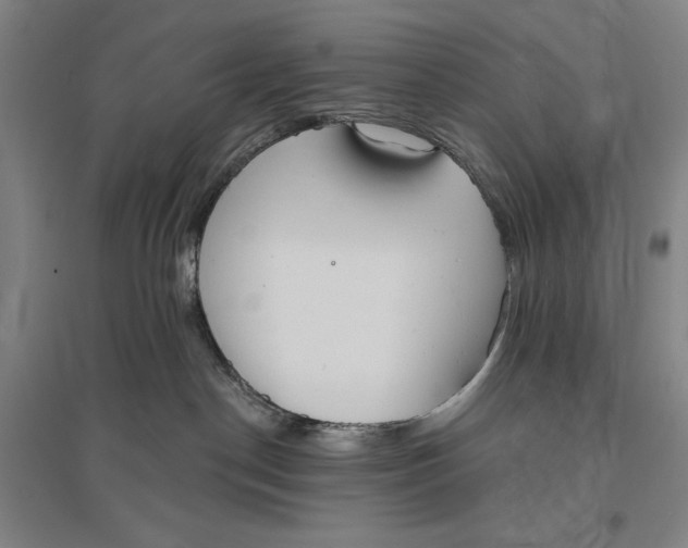 X0000096630190200802261213