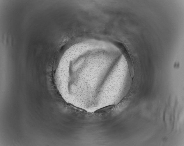 X0000096630192200802261213