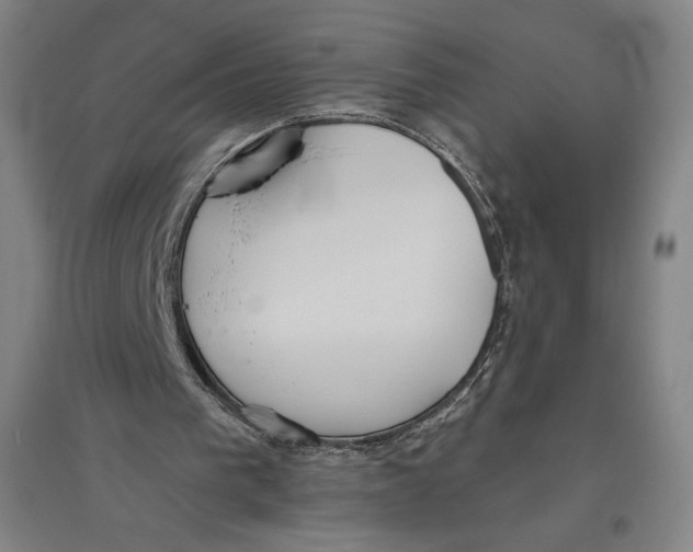 X0000096630193200802261213