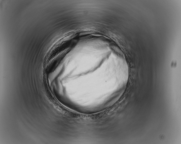 X0000096630194200802261213