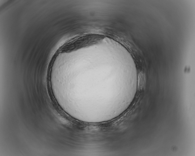 X0000096630195200802261212