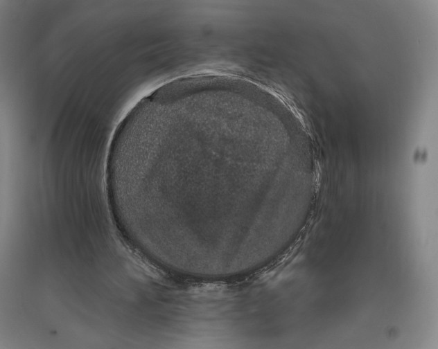 X0000096630196200802261212