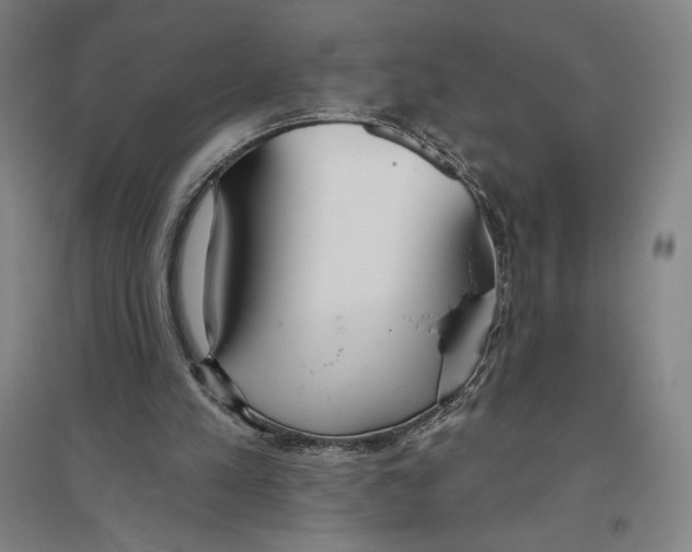 X0000096630197200802261212