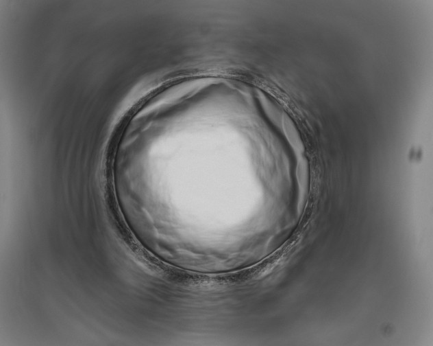 X0000096630198200802261212