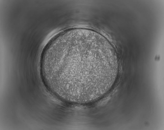 X0000096630199200802261212