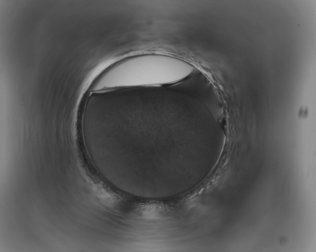 X0000096630200200802261212