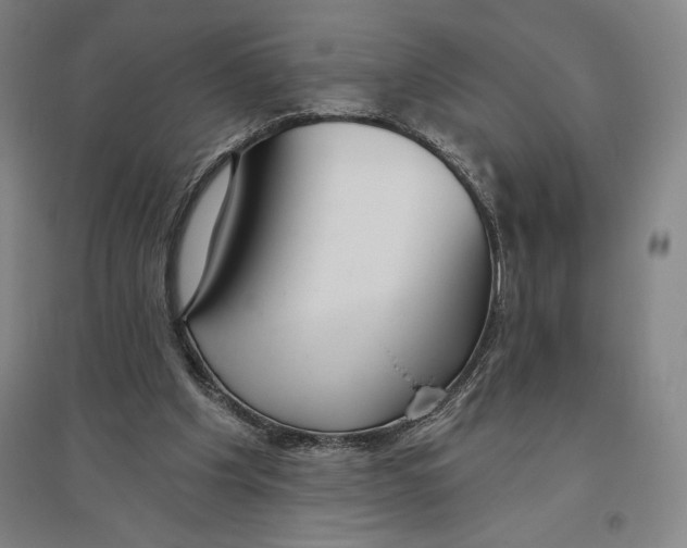 X0000096630201200802261212