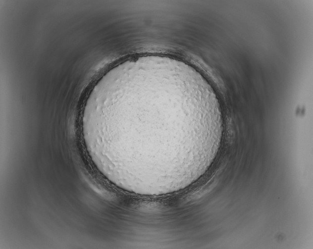 X0000096630203200802261212