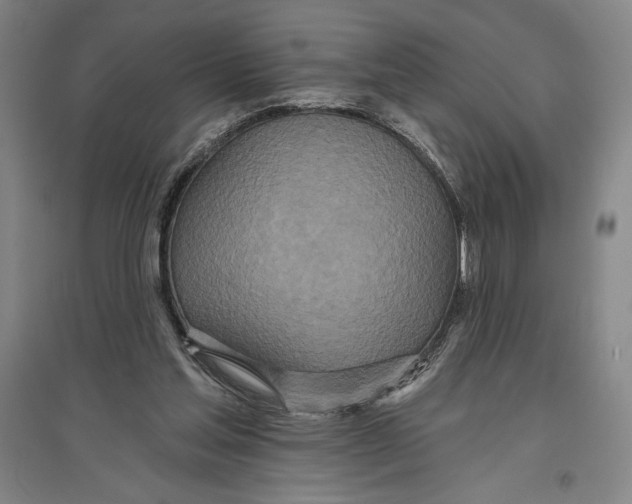 X0000096630205200802261212