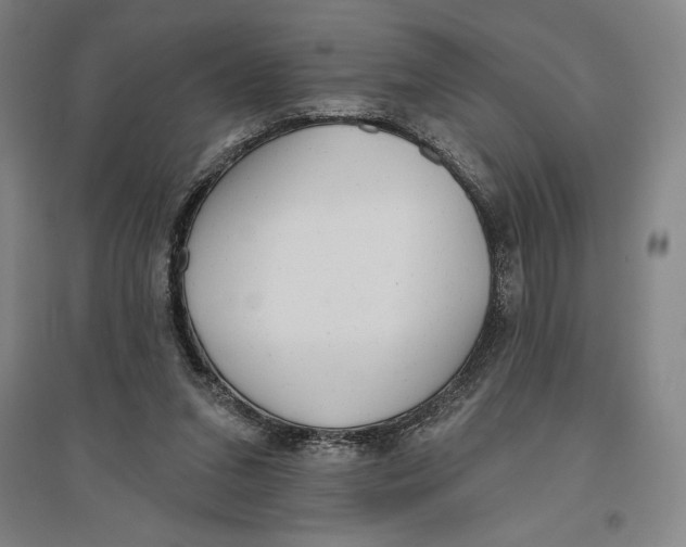 X0000096630207200802261212