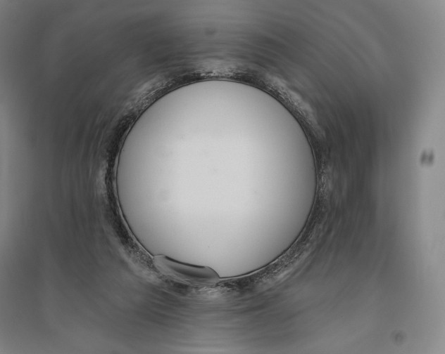 X0000096630209200802261212