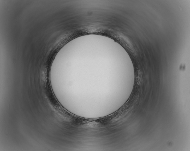 X0000096630210200802261212