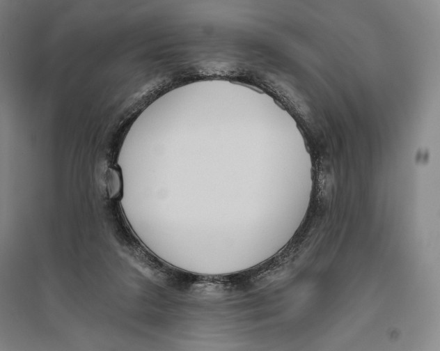 X0000096630211200802261212