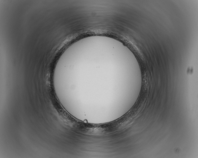 X0000096630212200802261212