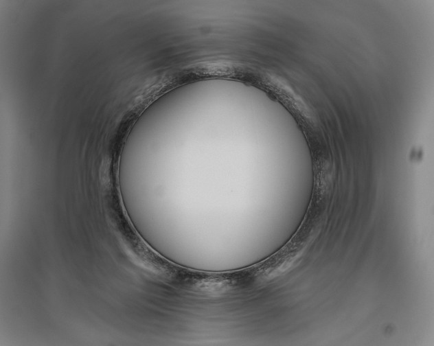 X0000096630213200802261212