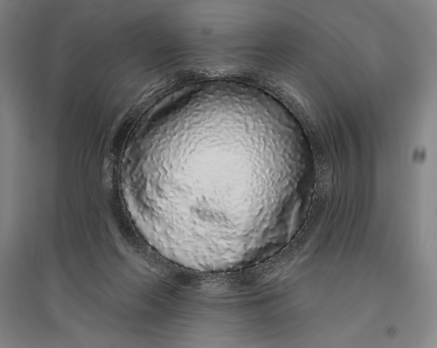 X0000096630214200802261212